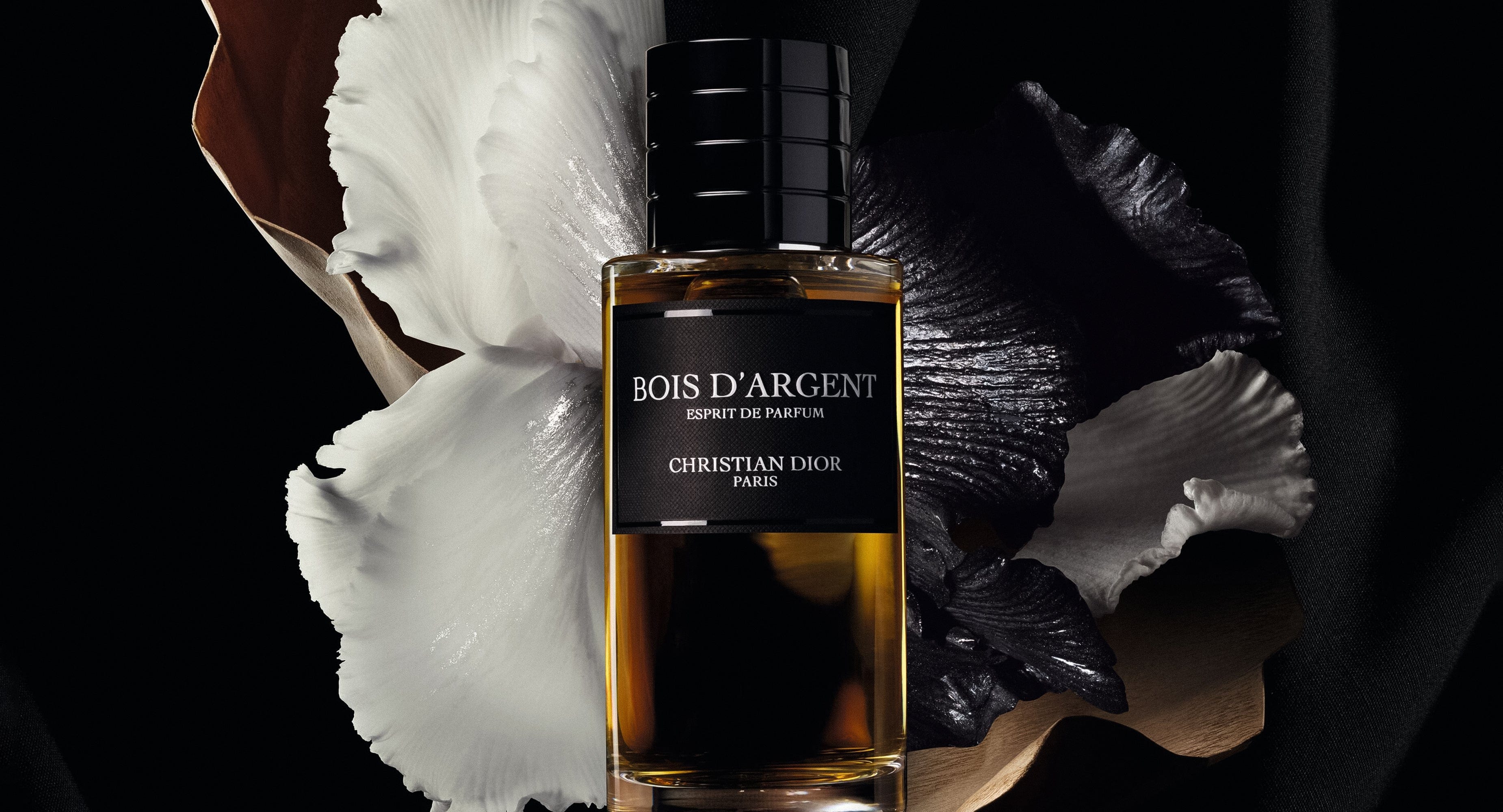 L'Excellence de la Beauté Dior