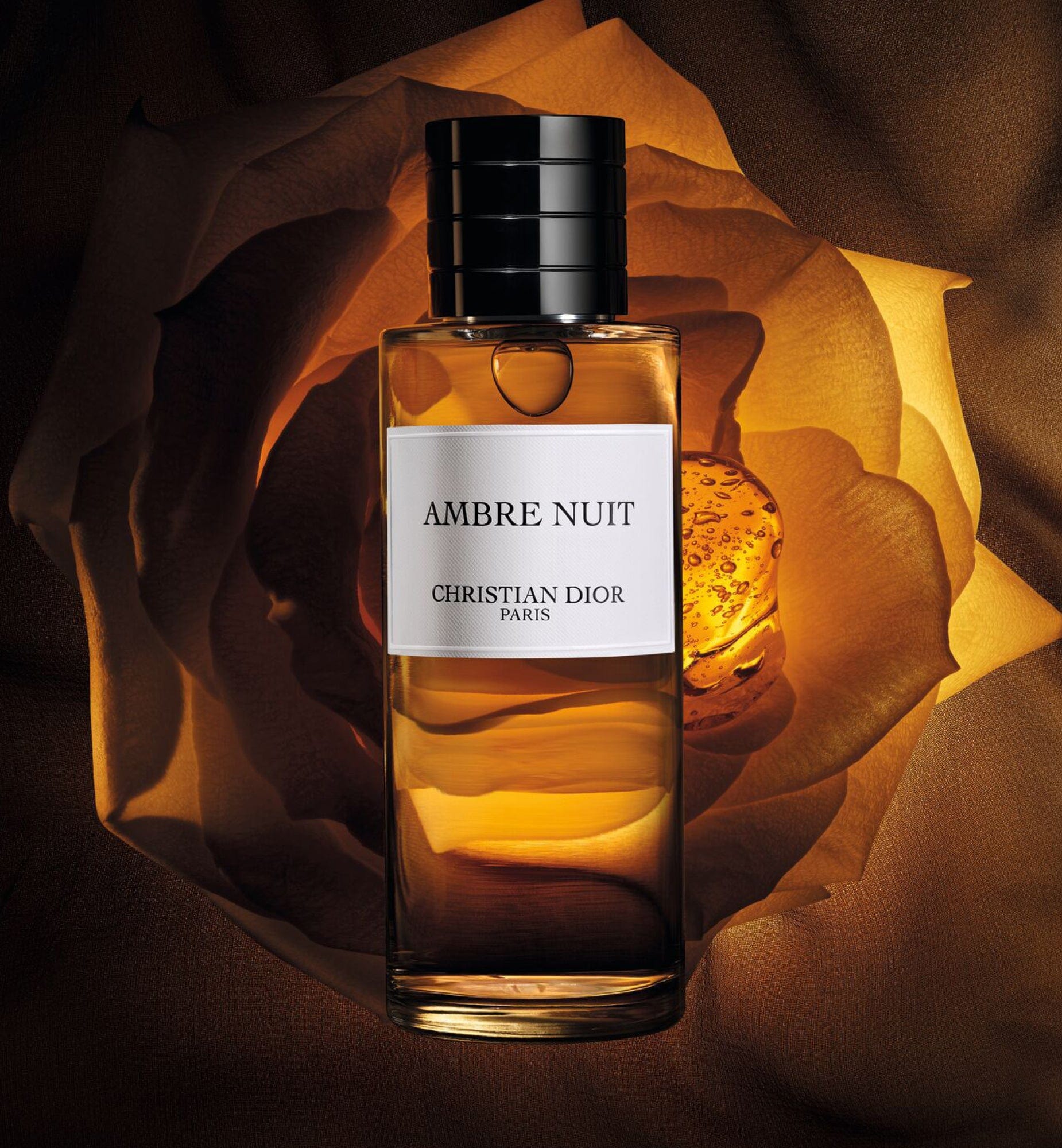 AMBRE NUIT - Image 3