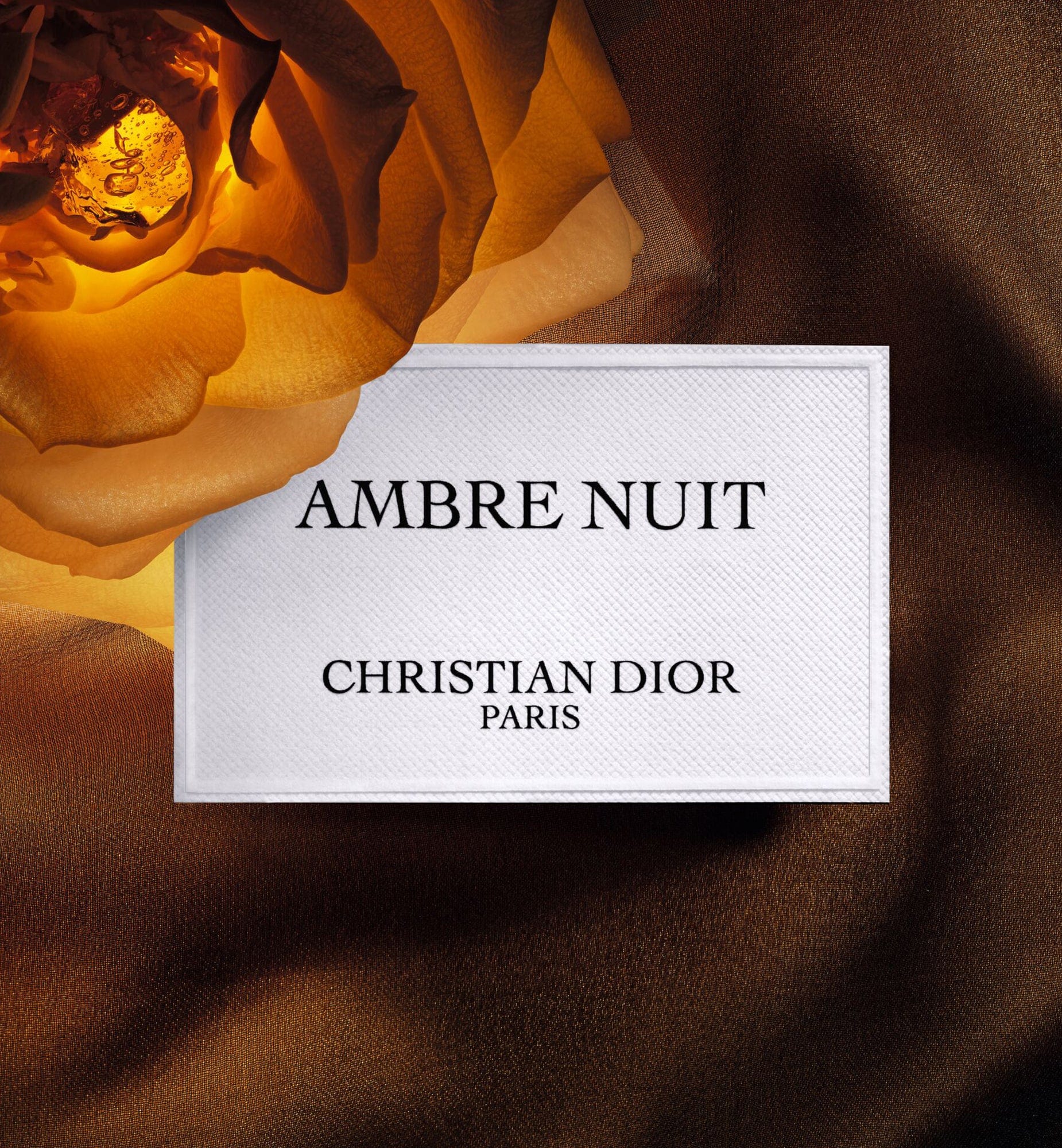 AMBRE NUIT - Image 4