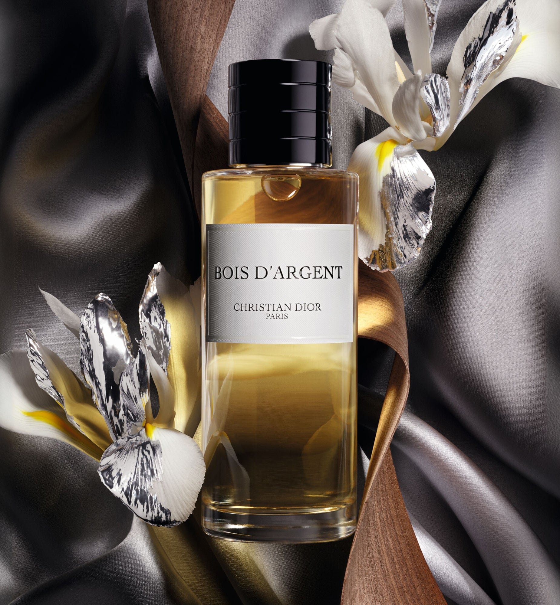 BOIS D'ARGENT - Image 3