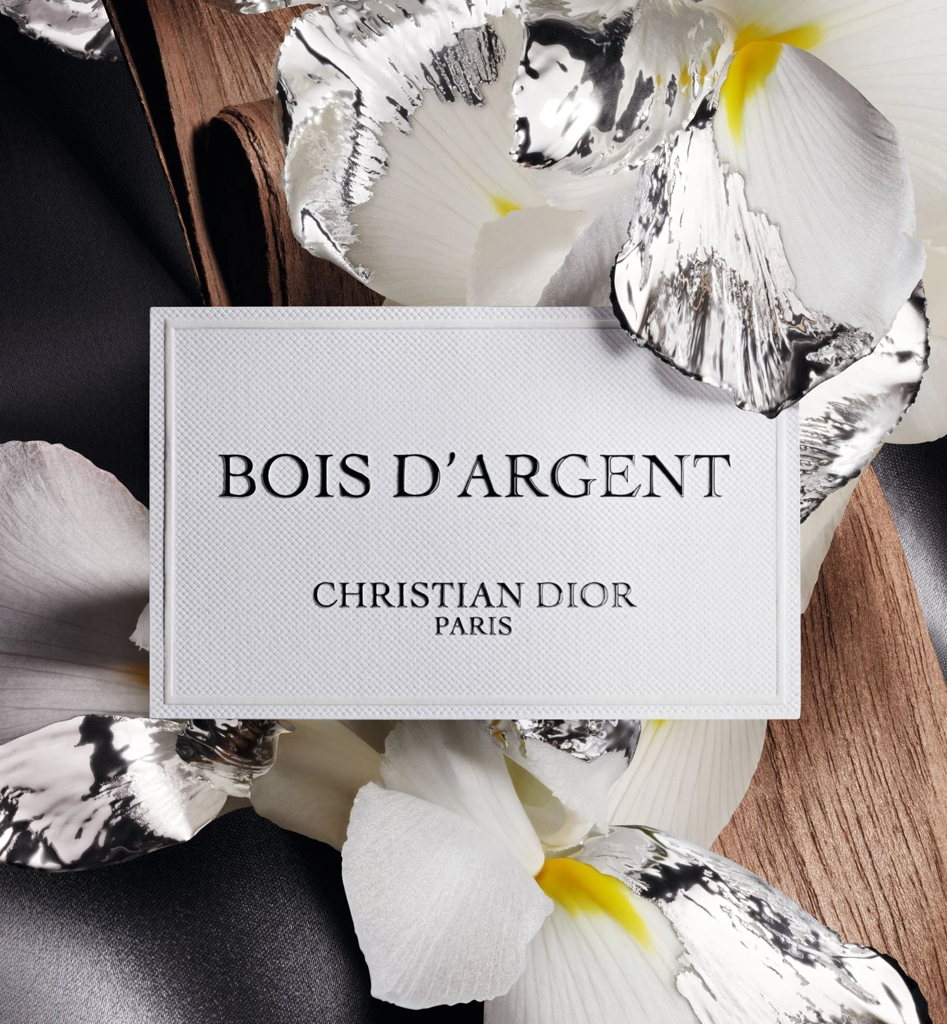 BOIS D'ARGENT - Image 4