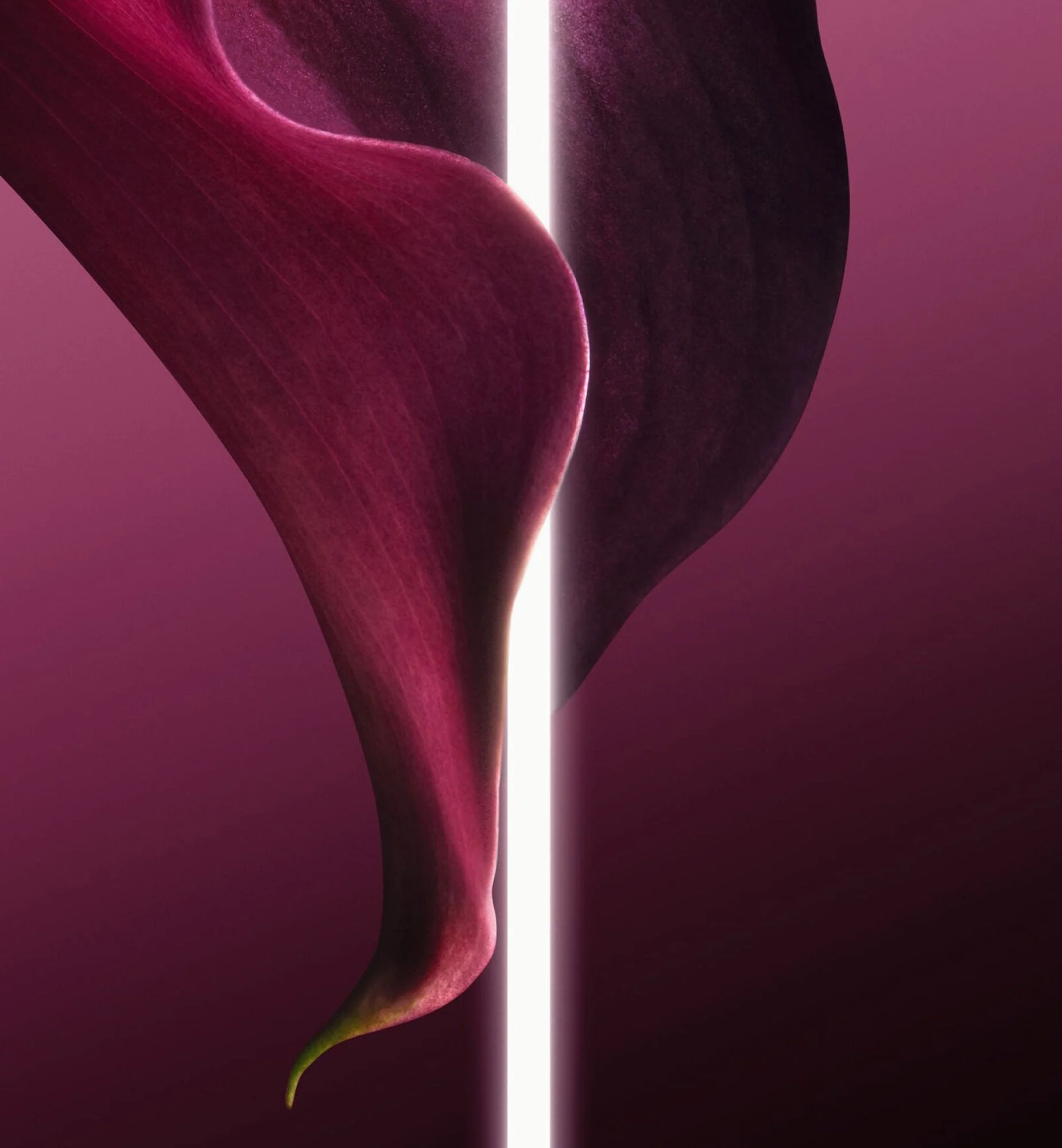 CAPTURE TOTALE SUPER POTENT CLEANSER - Image 3