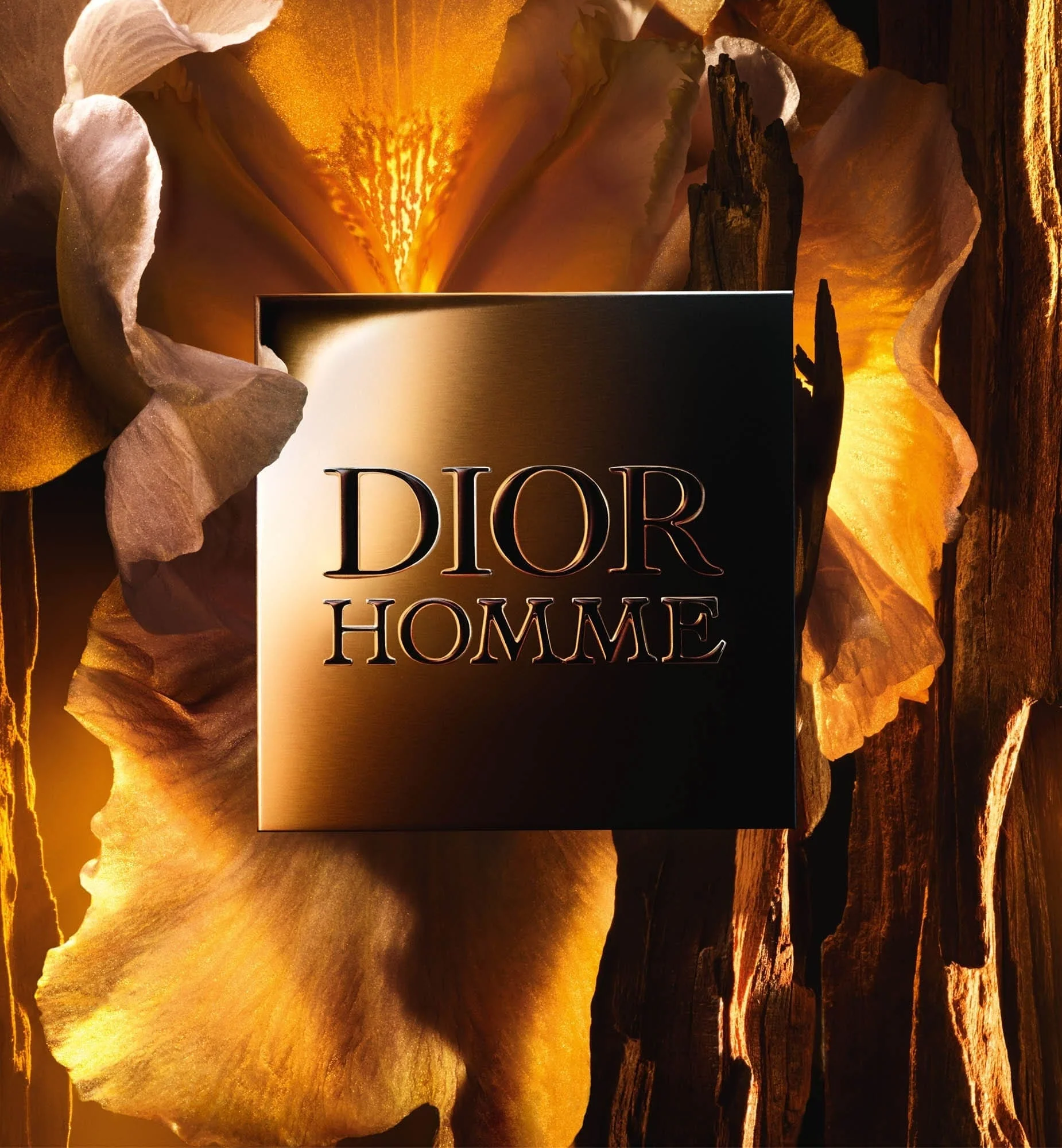 DIOR HOMME PARFUM - Image 3