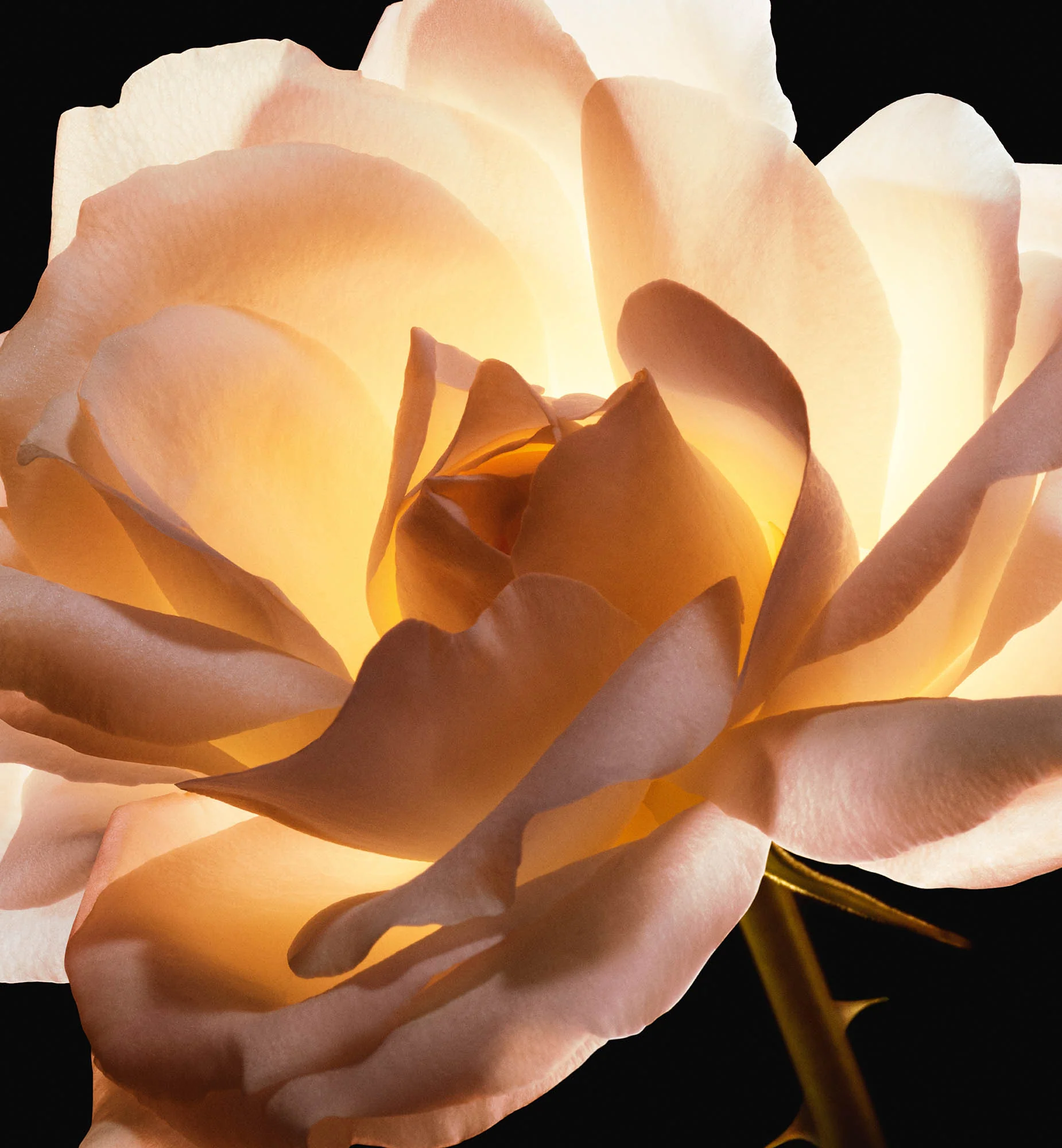 DIOR PRESTIGE LA CRÈME TEXTURE ESSENTIELLE - Image 3