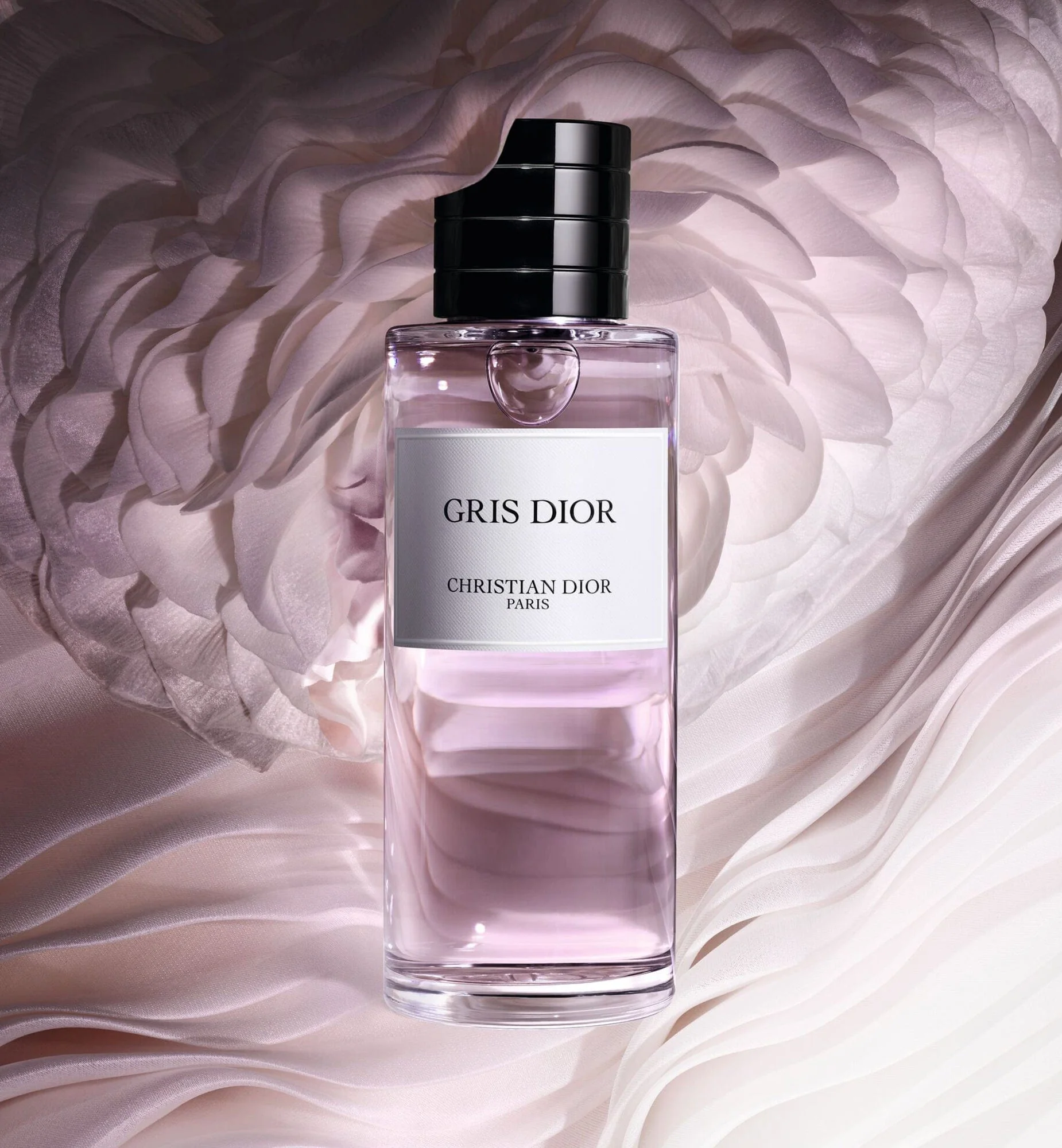 GRIS DIOR - Image 3