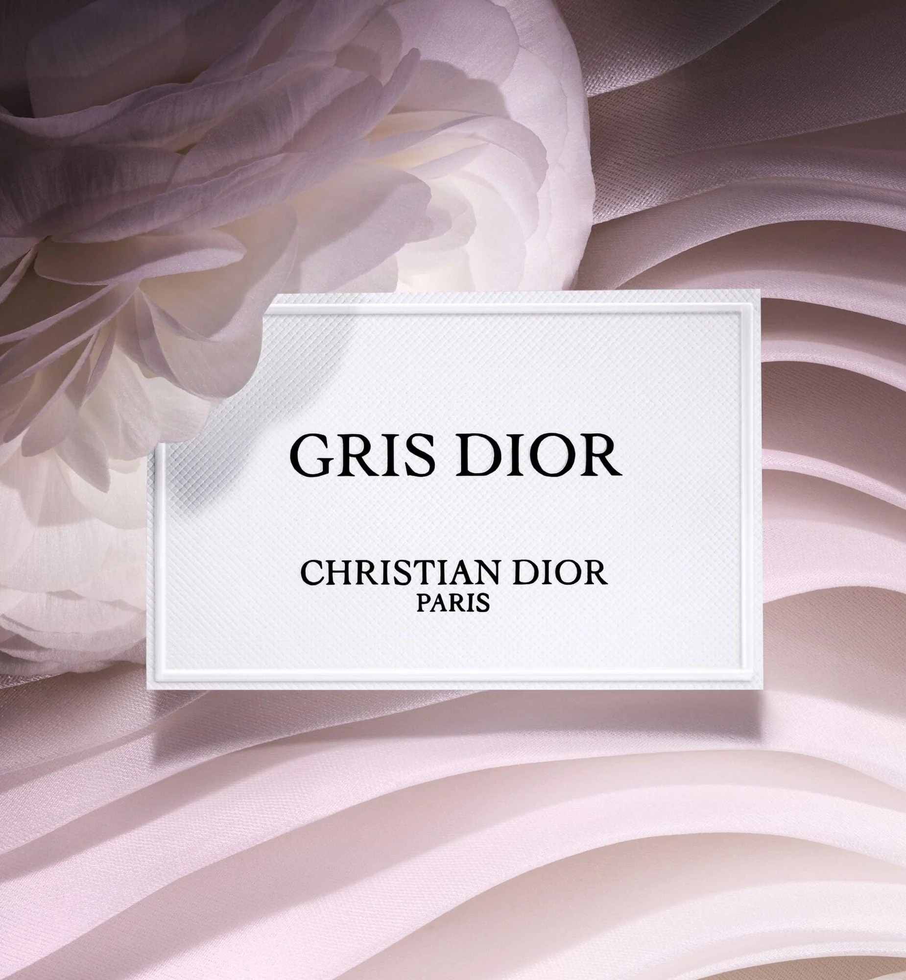 GRIS DIOR - Image 4