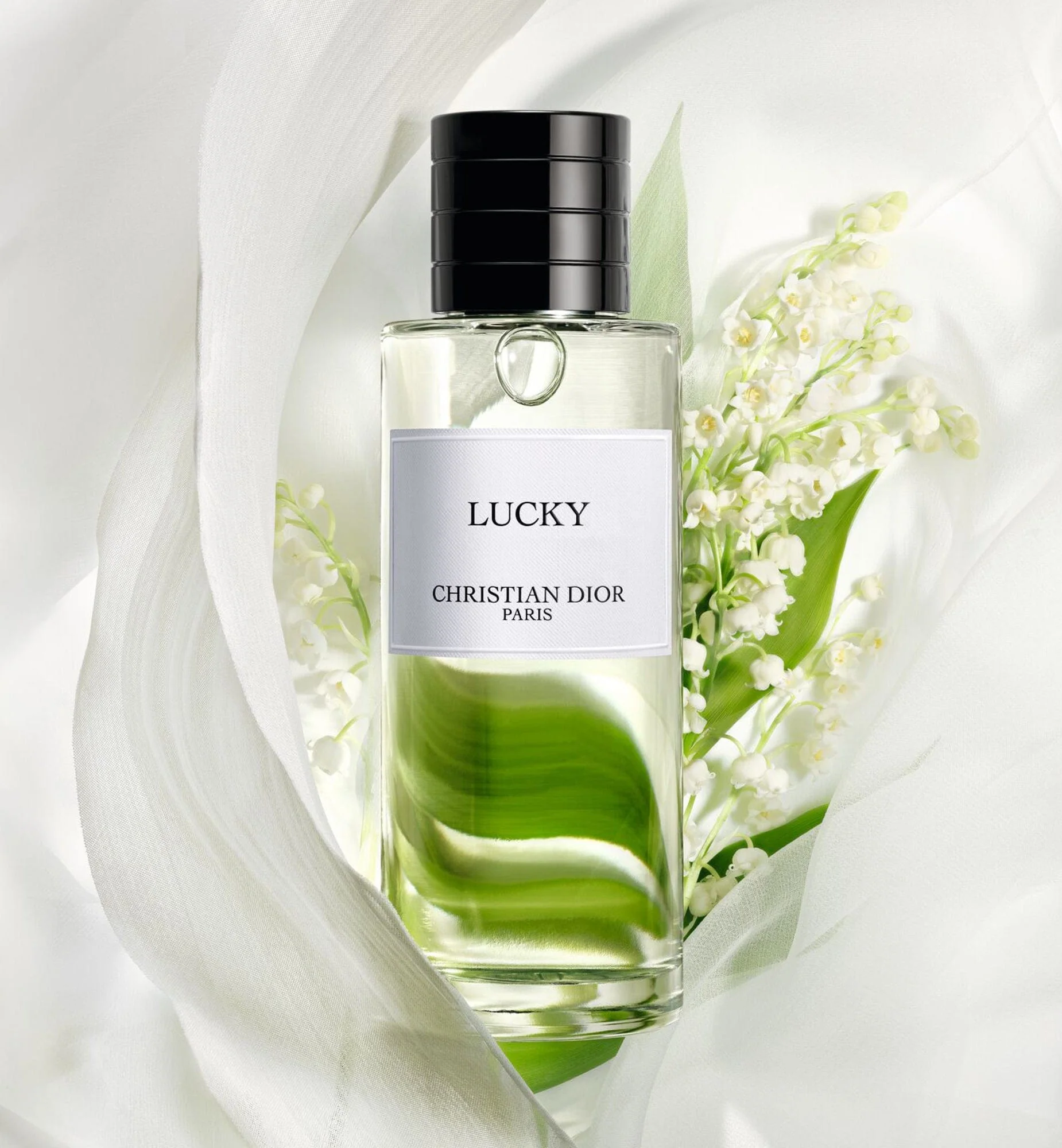 LUCKY - Image 3