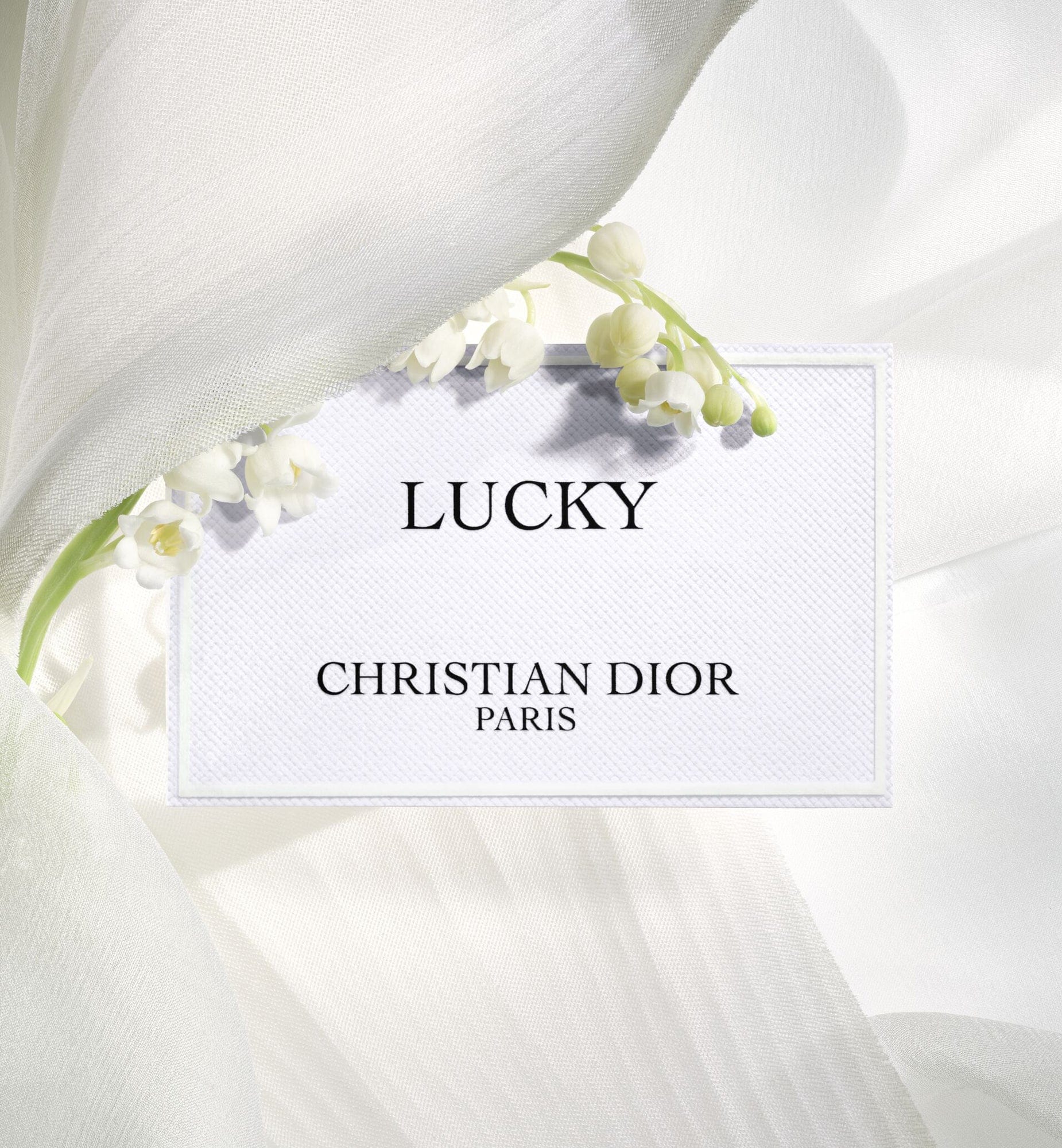 LUCKY - Image 4