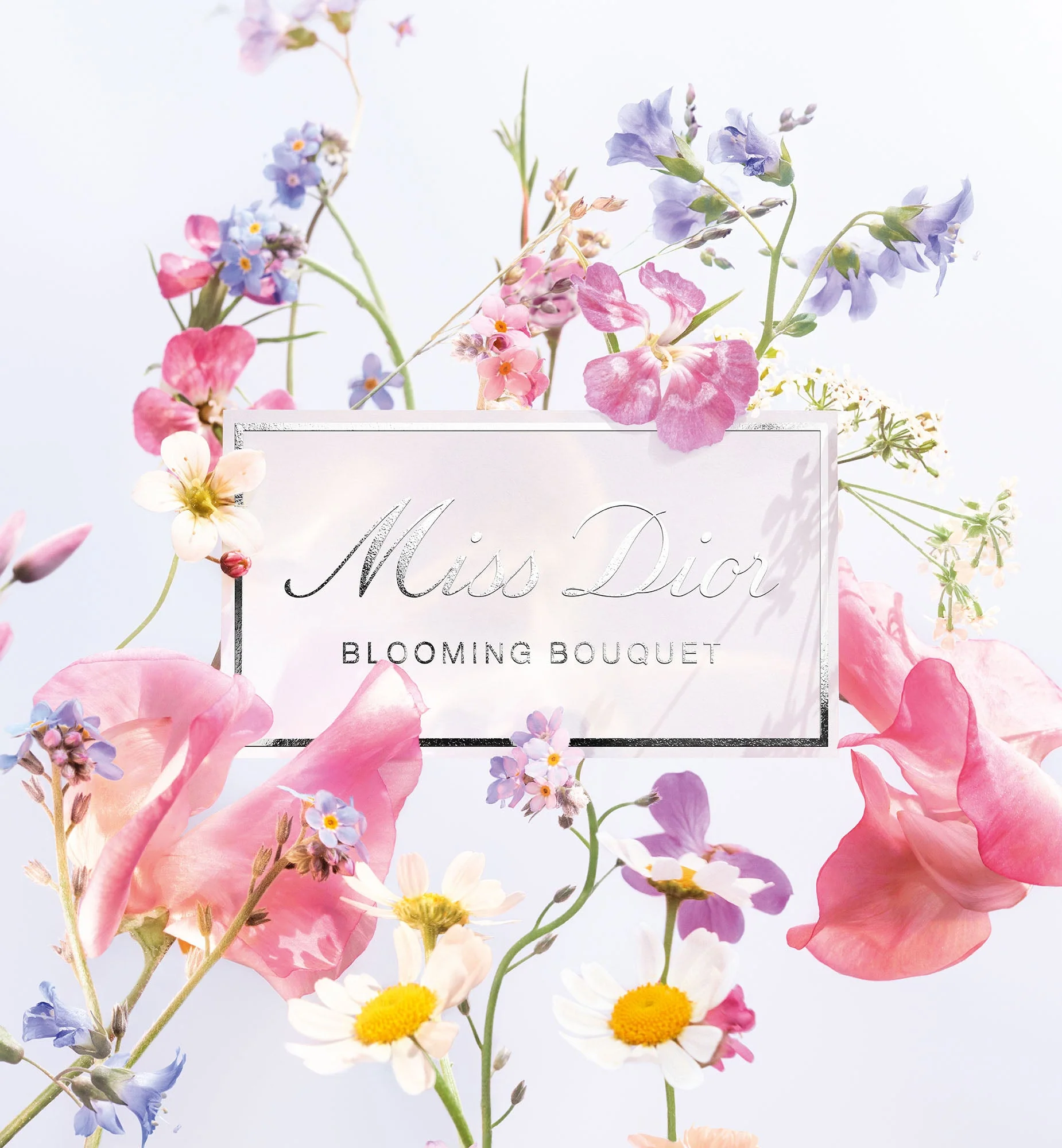 MISS DIOR BLOOMING BOUQUET - Image 5