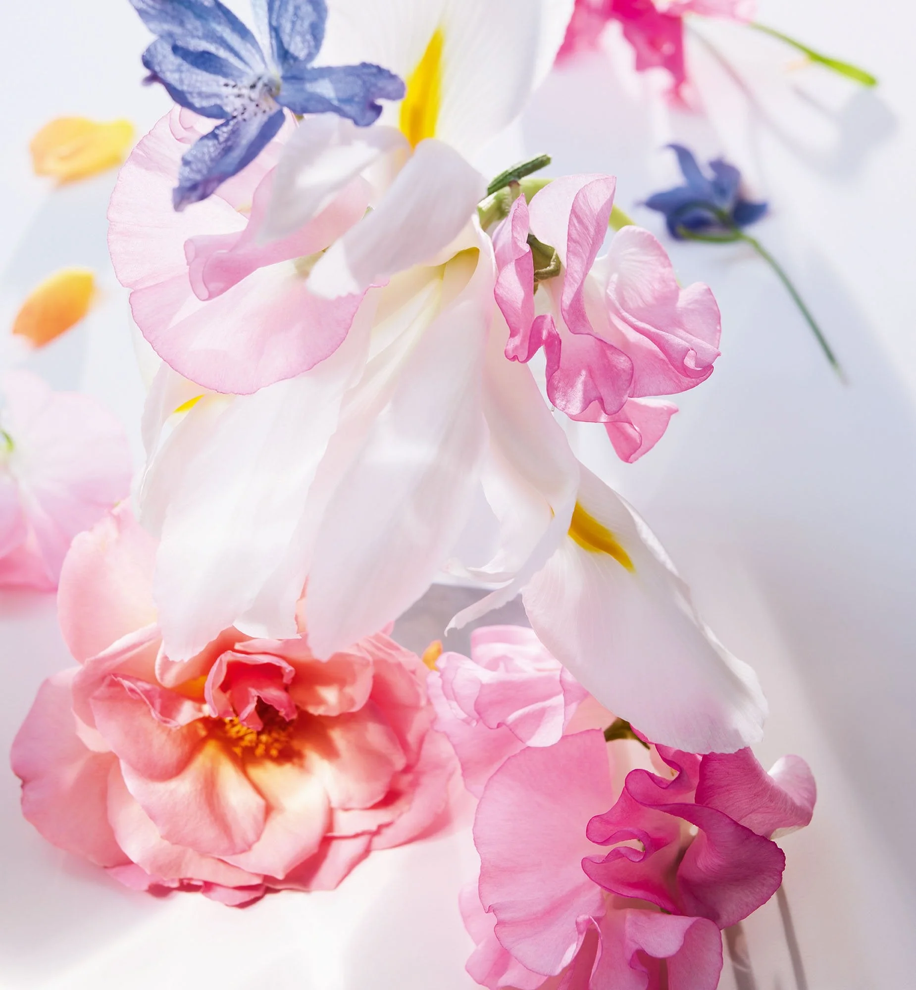 MISS DIOR EAU DE PARFUM - Image 7