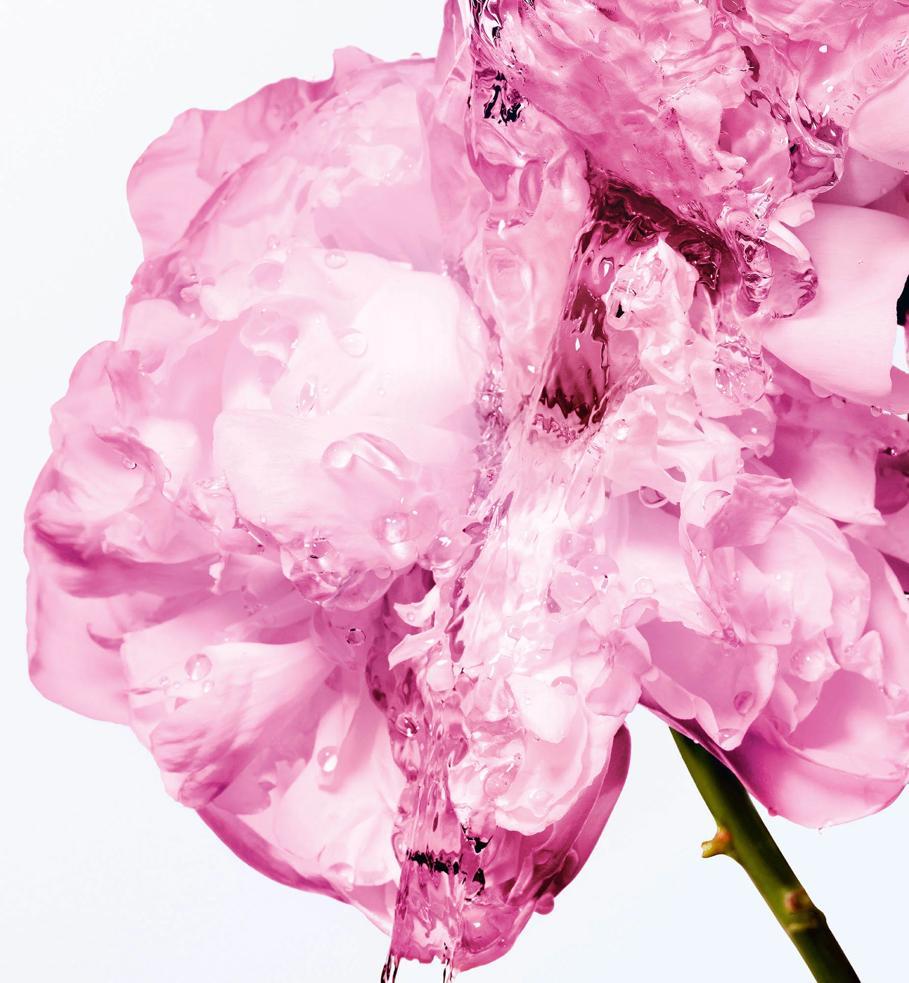 MISS DIOR LAIT CORPS RÉCONFIRTANT À LA CIRE DE ROSE - Image 3