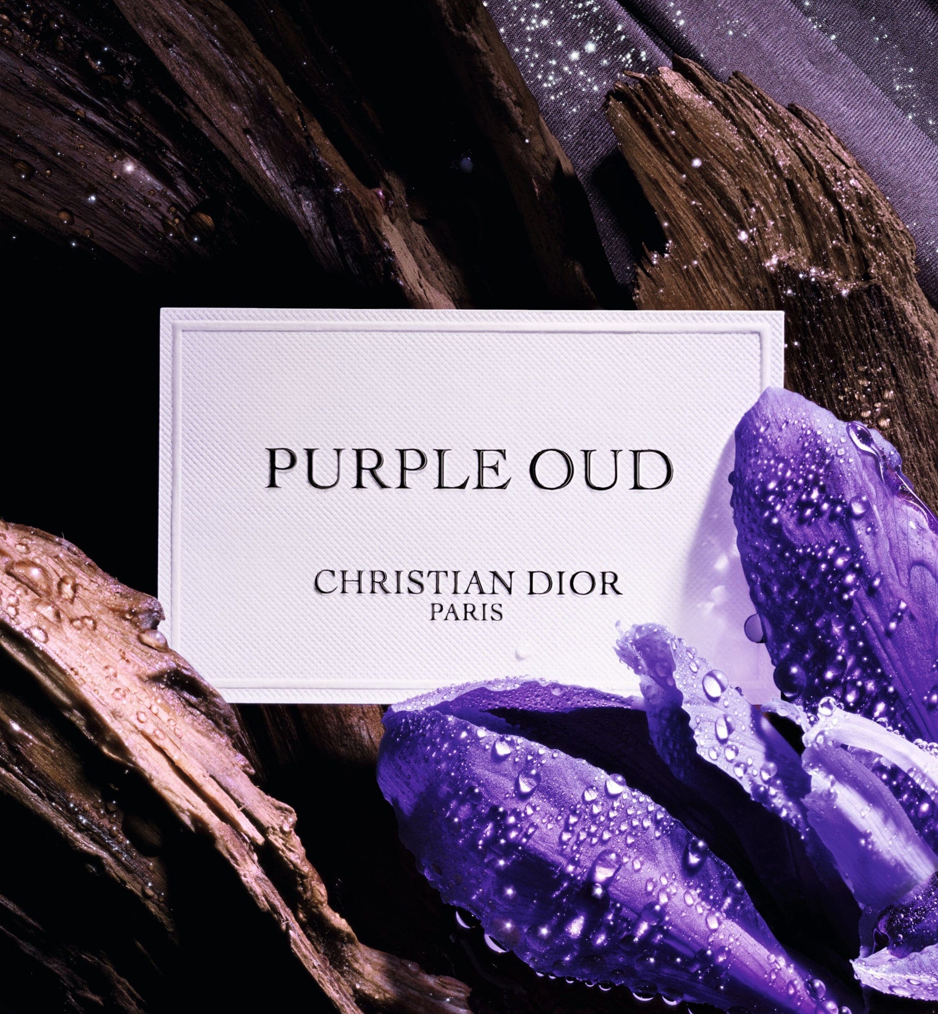 PURPLE OUD - Image 4