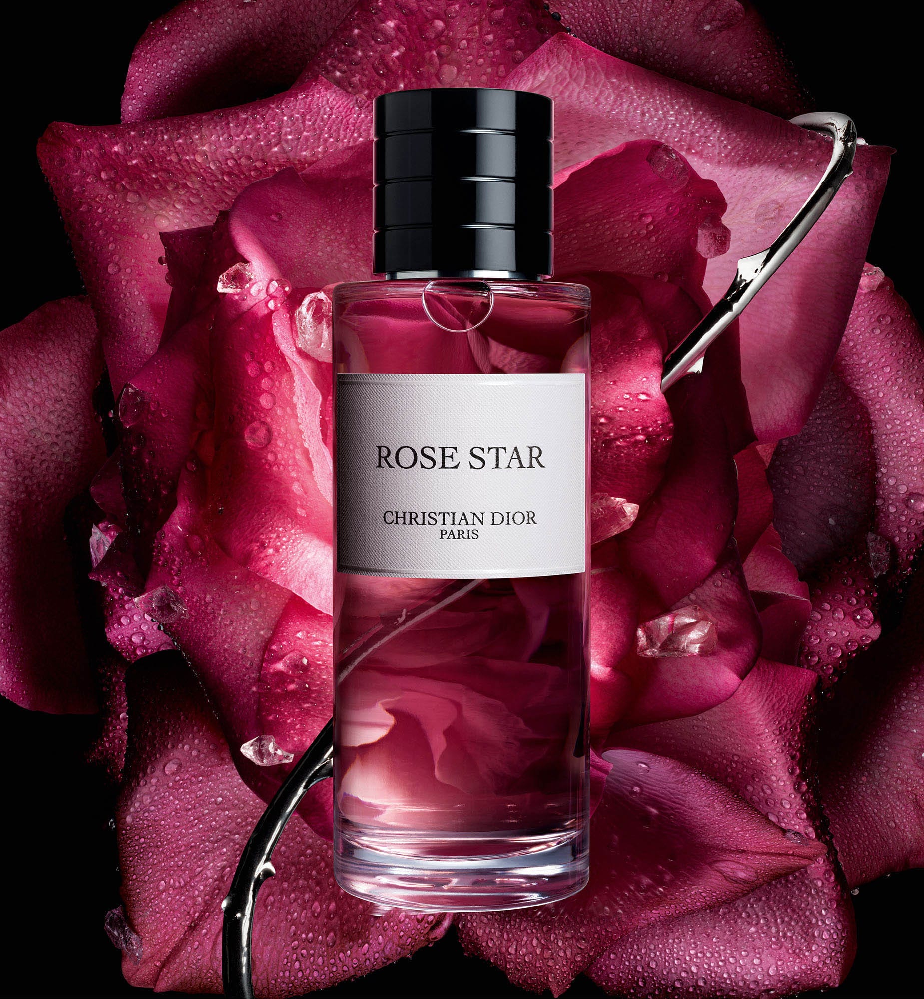 ROSE STAR - Image 3
