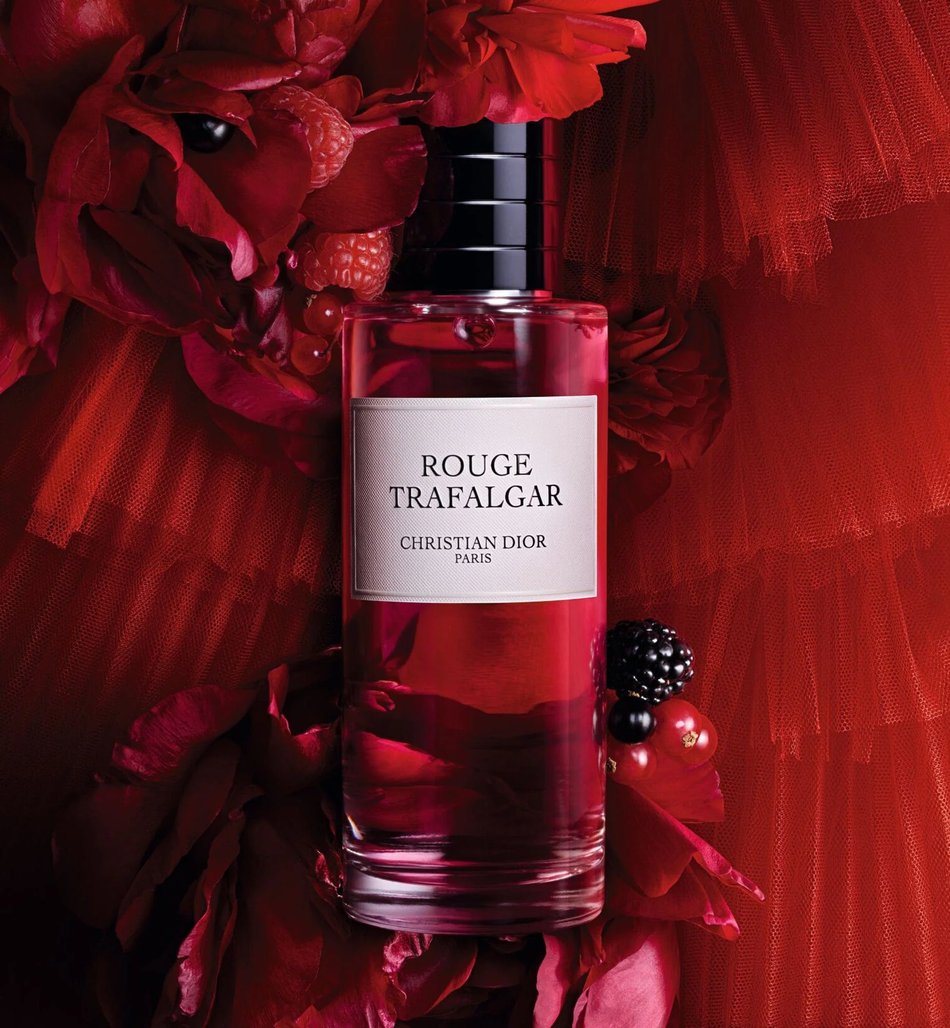 ROUGE TRAFALGAR - Image 3