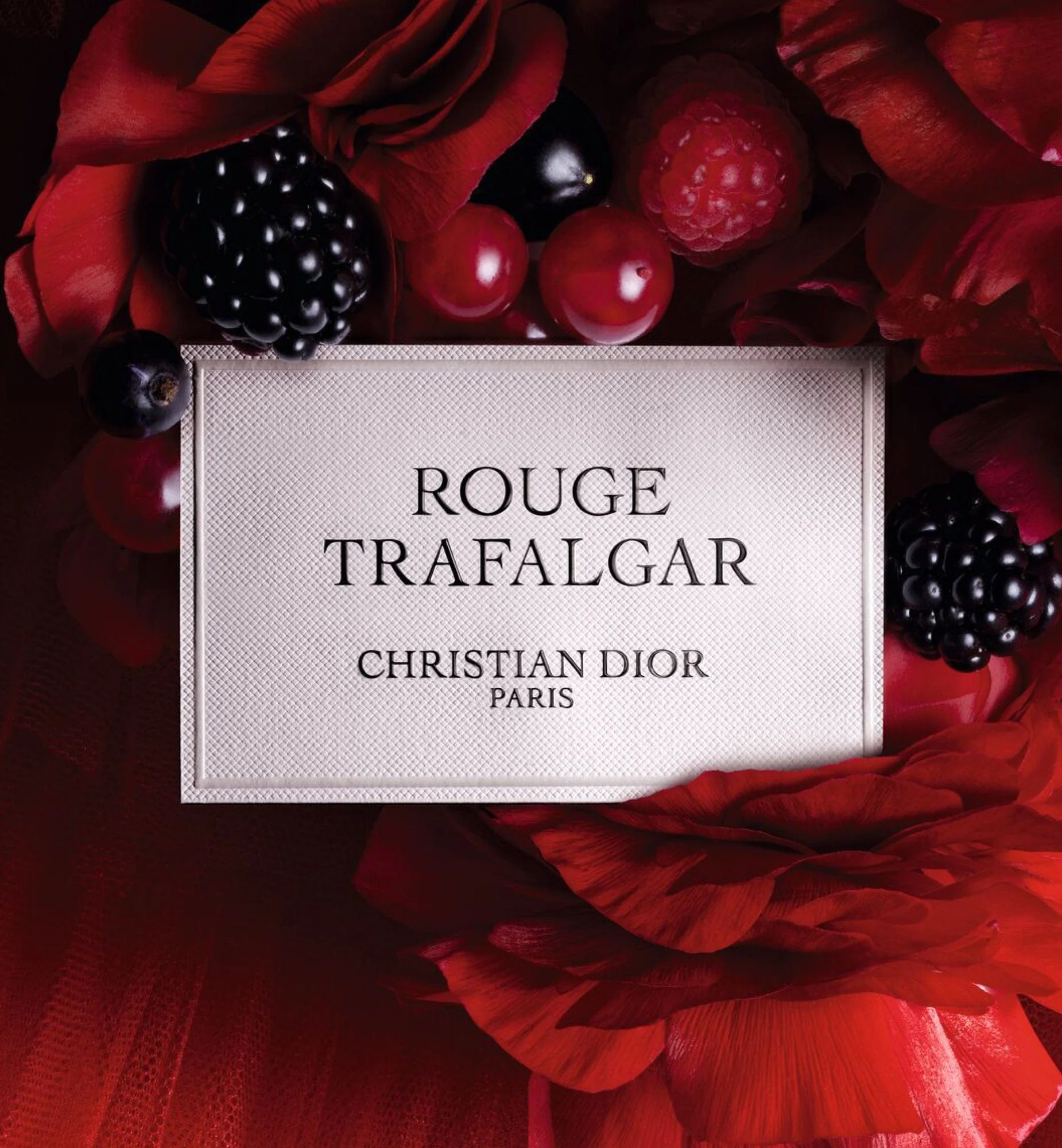 ROUGE TRAFALGAR - Image 4