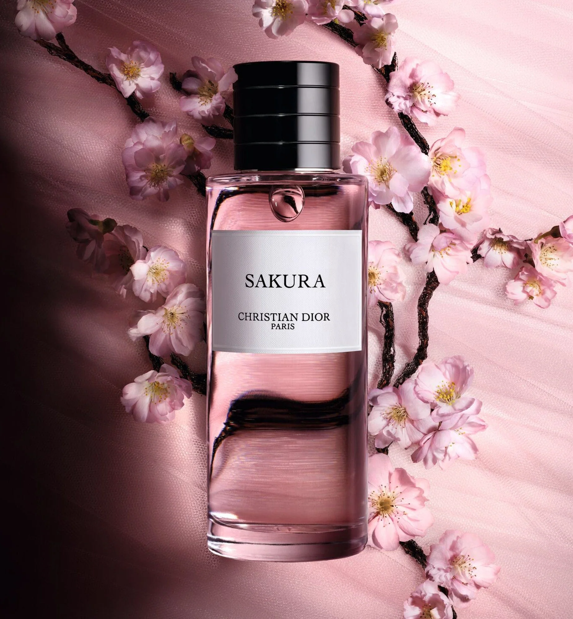 SAKURA - Image 3