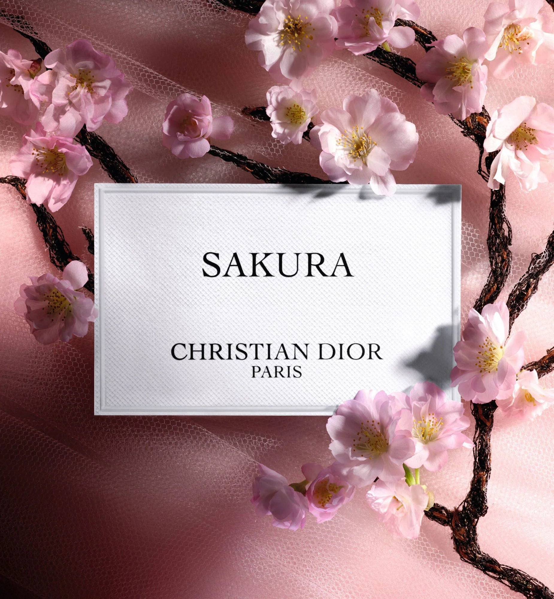 SAKURA - Image 4