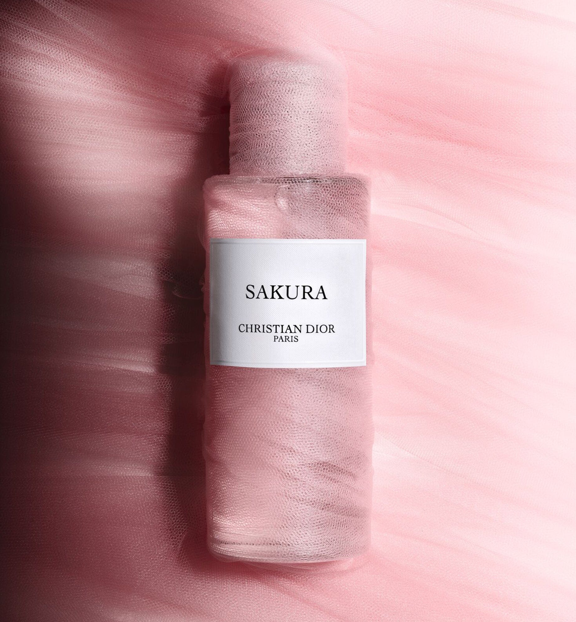 SAKURA - Image 6