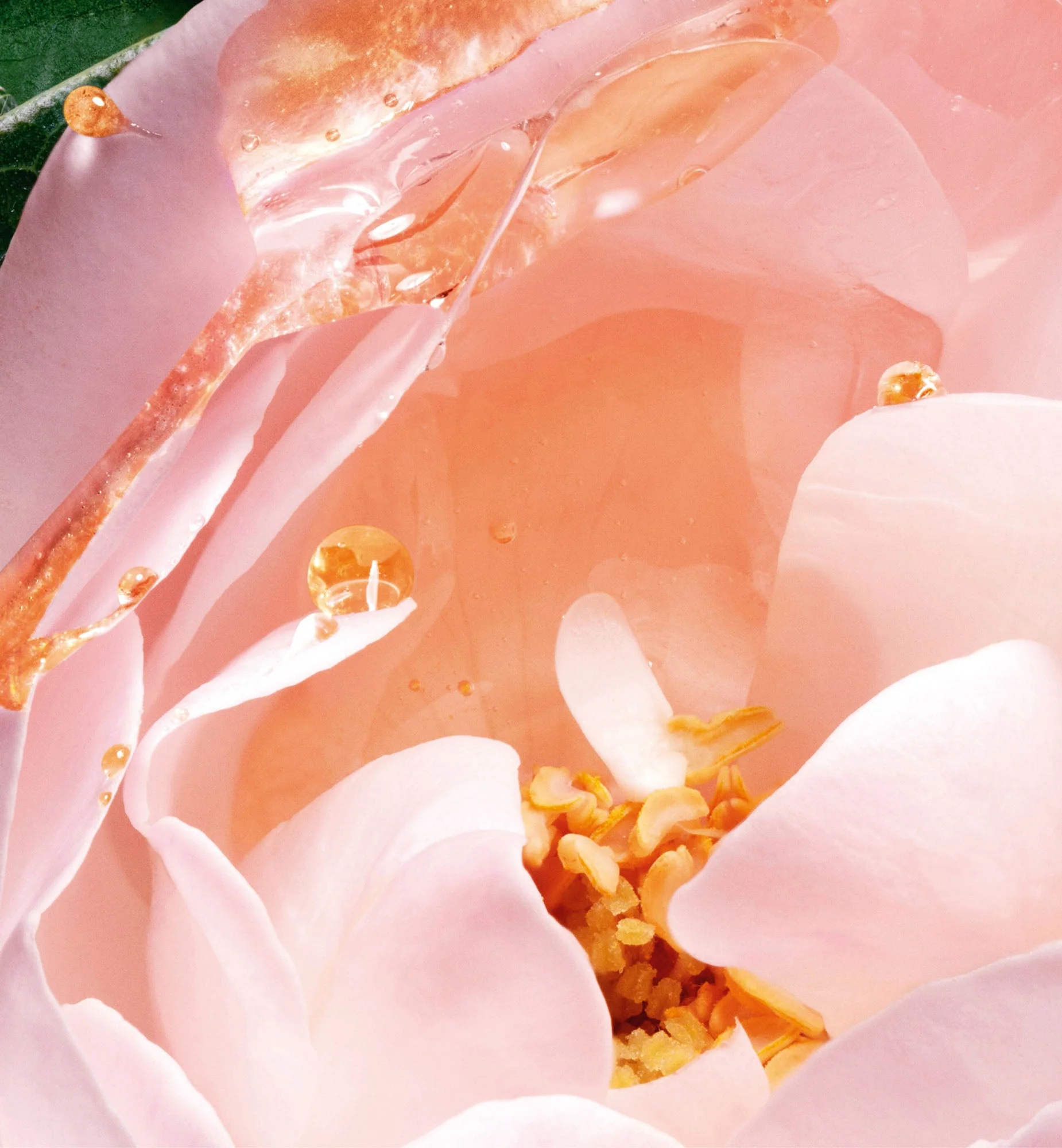 SAVON PARFUMÉ - Image 13