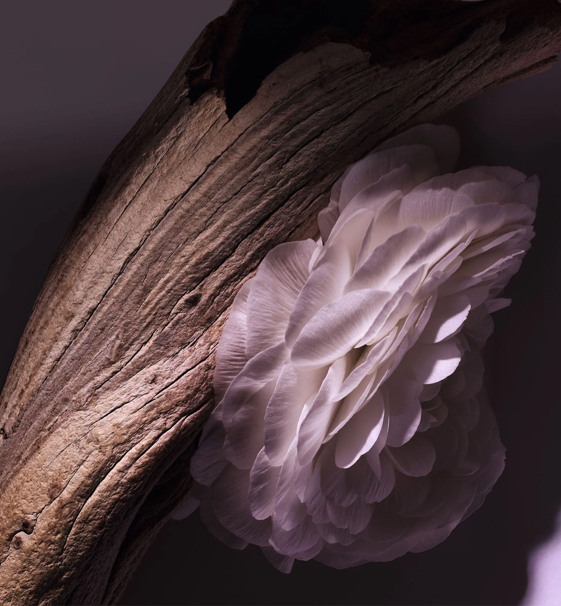 SAVON PARFUMÉ - Image 21